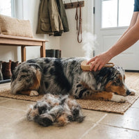 Steam Pet Grooming Brush - Effortless Shedding Control